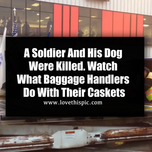 A Soldier And His Dog Were Killed. Watch What Baggage Handlers Do With Their Caskets