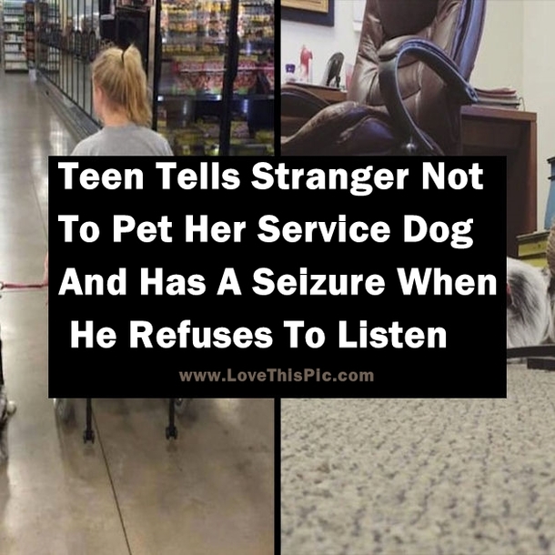 A Stranger Didn’t Listen When She Told Him NOT To Pet Her Service Dog. Minutes Later? Shocking!