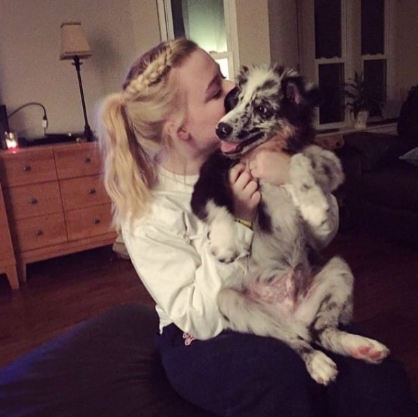 A Stranger Didn’t Listen When She Told Him NOT To Pet Her Service Dog. Minutes Later? Shocking! - picture 11