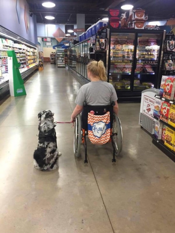 A Stranger Didn’t Listen When She Told Him NOT To Pet Her Service Dog. Minutes Later? Shocking! - picture 2