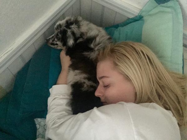 A Stranger Didn’t Listen When She Told Him NOT To Pet Her Service Dog. Minutes Later? Shocking! - picture 4