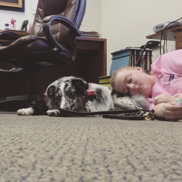 A Stranger Didn’t Listen When She Told Him NOT To Pet Her Service Dog. Minutes Later? Shocking! - picture 9