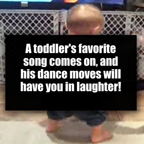 A toddler's favorite song comes on, and his dance moves will have you in laughter!