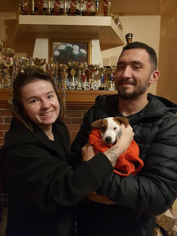 A Ukrainian volunteer dies as she was delivering supplies to a dog shelter that was without food for 3 days - picture 4