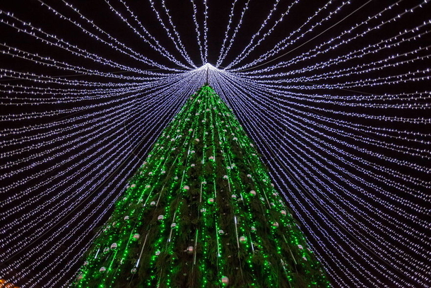 A Unique Christmas Tree Illuminated By 50,000 Lightbulbs Opens Festive Season In Vilnius - picture 6