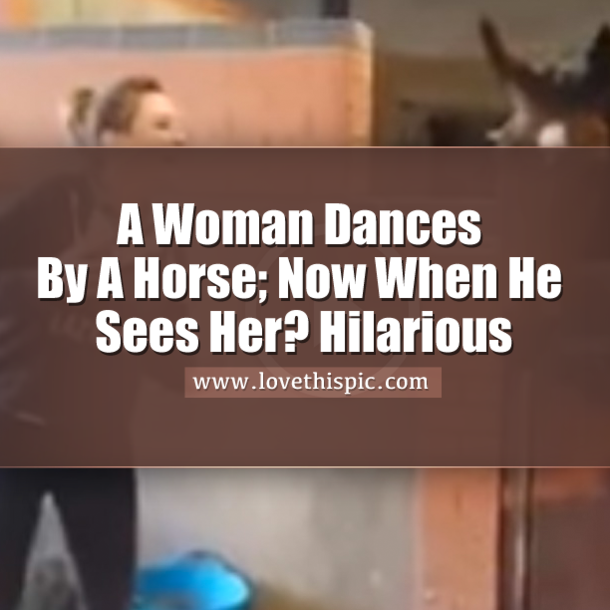 A Woman Dances By A Horse; Now When He Sees Her? Hilarious