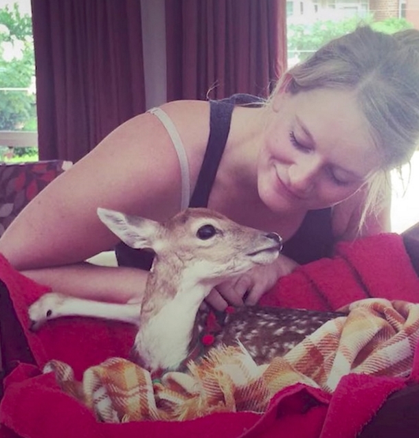 Abandoned Baby Deer Discover With 1 Leg Missing, Moments Later, These Dogs Do The Unexpected To Him - picture 3