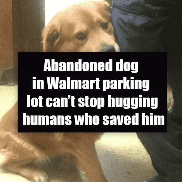 Abandoned dog in Walmart parking lot can’t stop hugging humans who saved him