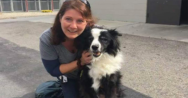 Abandoned: Family Leaves 17-Year-Old Dog At Animal Shelter Because She's "Too Old" - picture 3