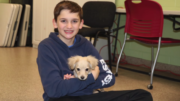 Abandoned puppy only has two legs, so a 12-year-old made her a wheelchair out of LEGO - picture 6