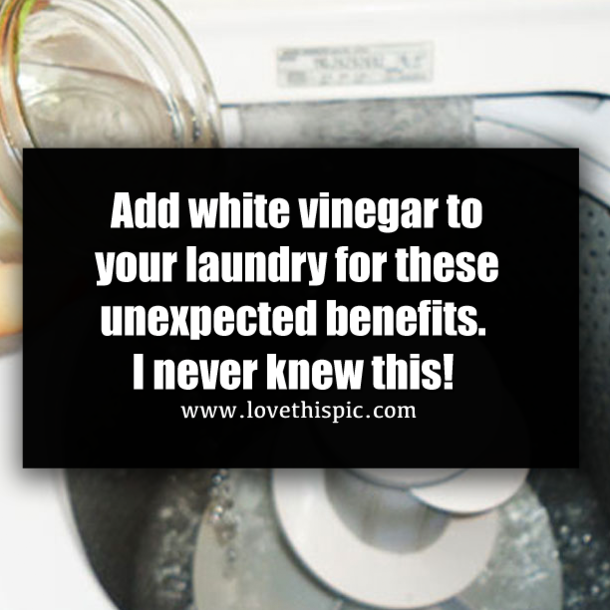 Add white vinegar to your laundry for these unexpected benefits. I never knew this!