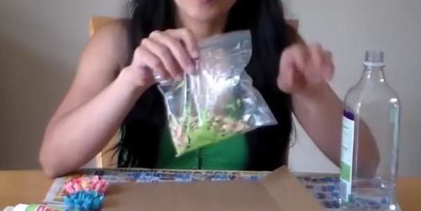 Adding Pistachio Shells To This Freezer Bag Creates An Amazing Decoration Project That You Must See - picture 3
