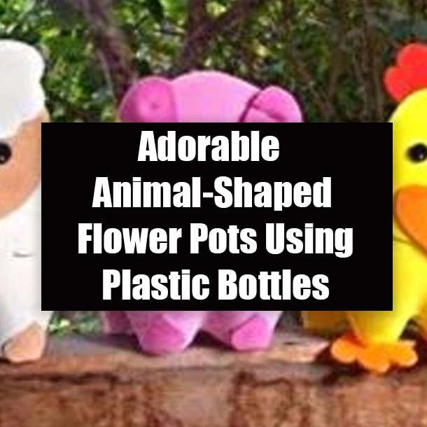Adorable Animal-Shaped Flower Pots Using Plastic Bottles