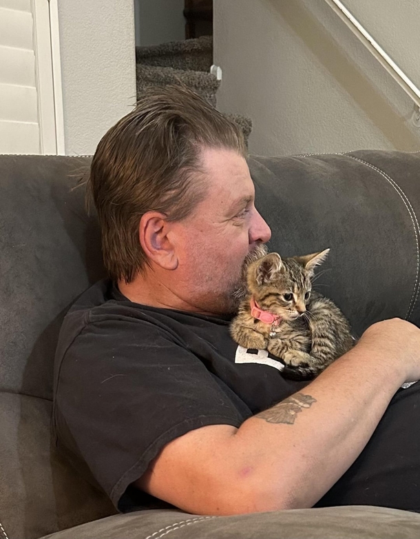 Adorable Cat “Steals” Woman’s Fiancé With One Purrrfectly Cute Look. - picture 3