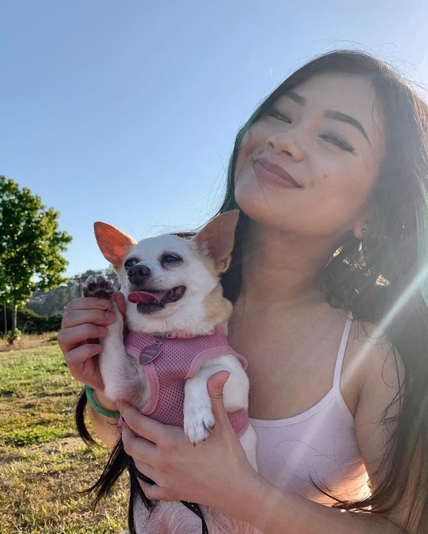 Adorable Chihuahua gets a huge party for her 15th birthday, is super happy when she sees her special cake - picture 3