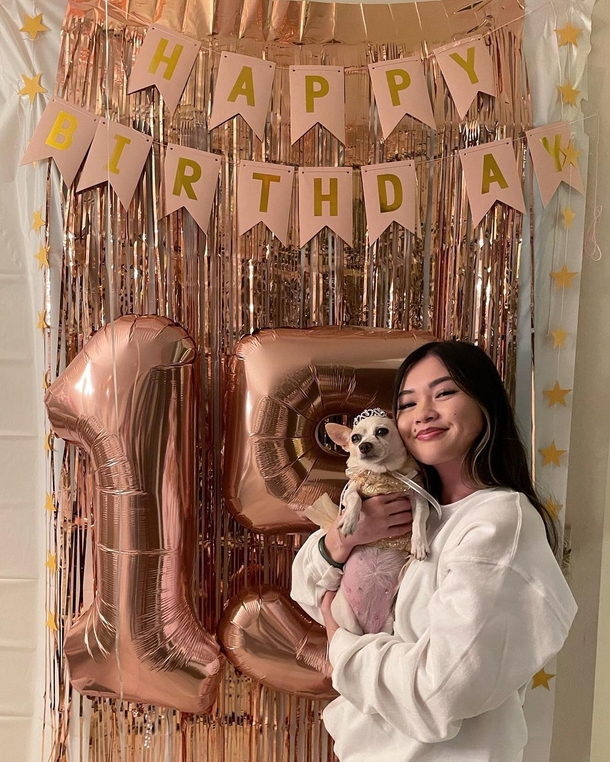 Adorable Chihuahua gets a huge party for her 15th birthday, is super happy when she sees her special cake - picture 5