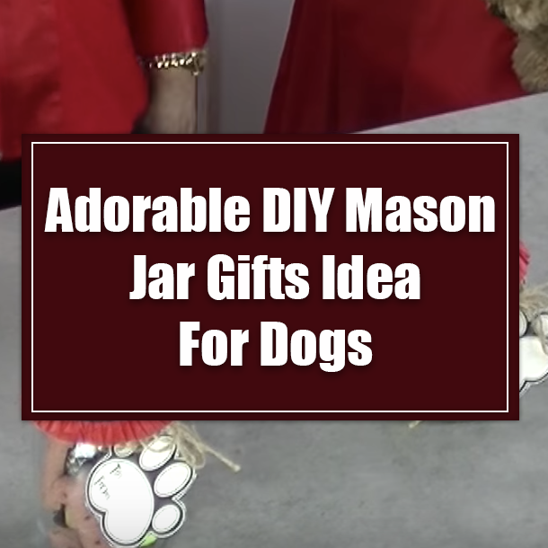Adorable DIY Mason Jar Gifts Idea For Dogs