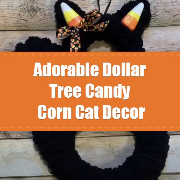 Adorable Dollar Tree Candy Corn Cat Decor