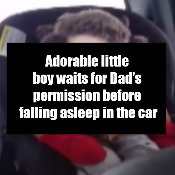 Adorable little boy waits for Dad’s permission before falling asleep in the car