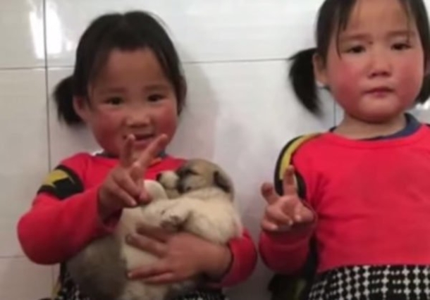 Adorable Toddler Pleas To Keep Stray Puppy She Smuggled Into Kindergarten Class - picture 4