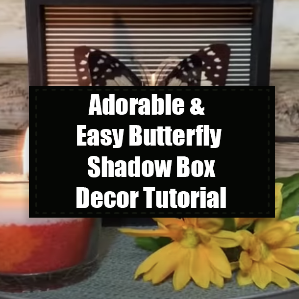 Adorable & Easy Butterfly Shadow Box Decor Tutorial
