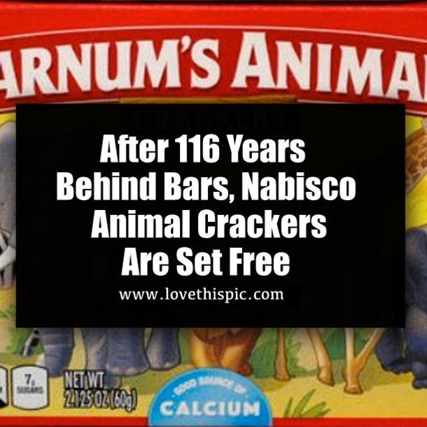 After 116 Years Behind Bars, Nabisco Animal Crackers Are Set Free