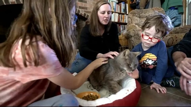 After 16 years, a lost cat is reunited with family: ‘I didn’t think it was possible’ - picture 5