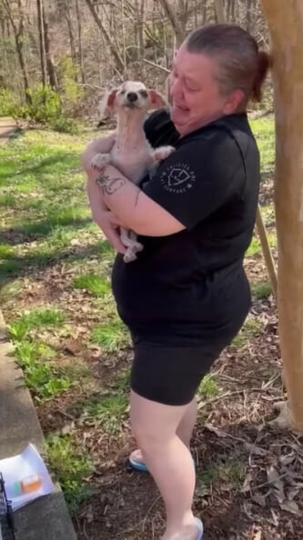 After 3 years of being missing, 18-year-old dog reunites with its owners at home - picture 3