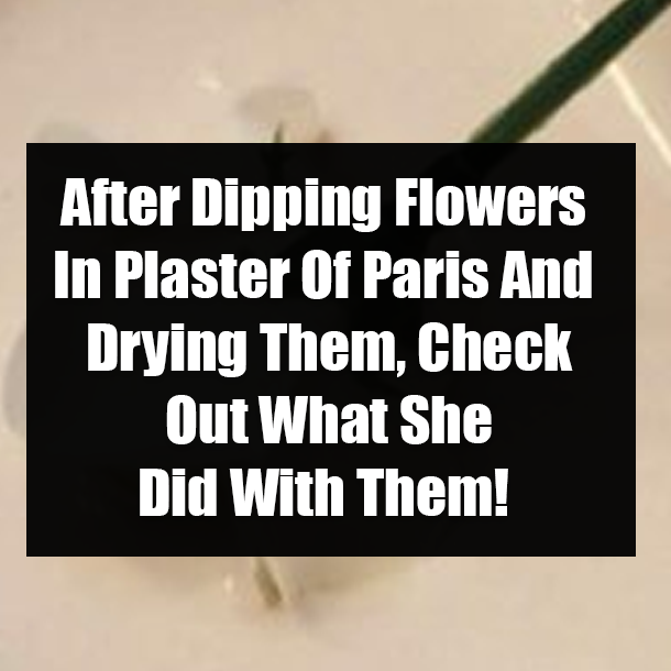 After Dipping Flowers In Plaster Of Paris And Drying Them, Check Out What She Did With Them!