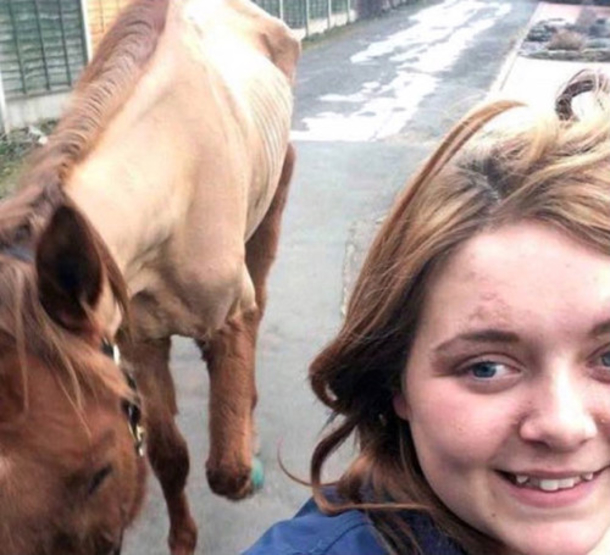 After Posting Photo, Officers Were On An Immediate Manhunt To Find Her And Make Her Pay - picture 3
