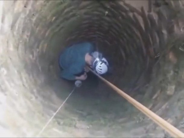 After Spending A Month Trapped In A Well, This Blind Dog Finally Gets A Christmas Miracle - picture 3