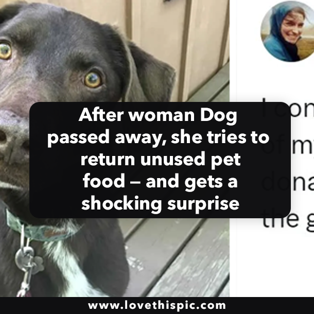 After woman Dog passed away, she tries to return unused pet food — and gets a shocking surprise