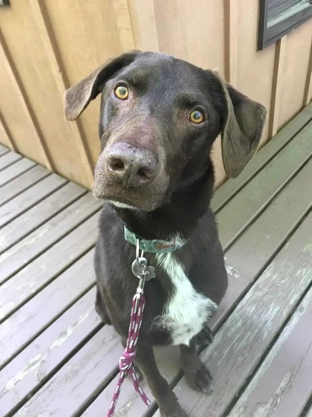 After woman Dog passed away, she tries to return unused pet food — and gets a shocking surprise - picture 2