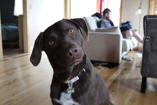 After woman Dog passed away, she tries to return unused pet food — and gets a shocking surprise - picture 6