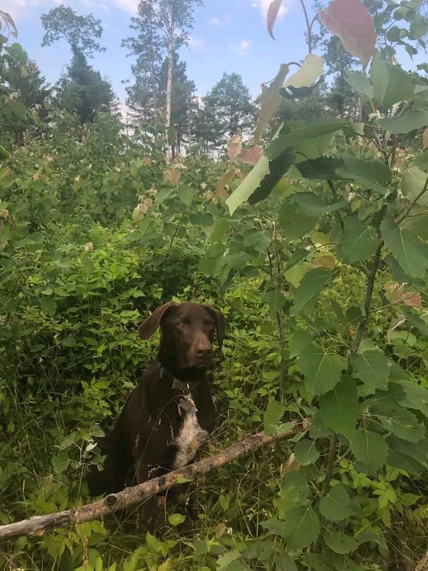 After woman Dog passed away, she tries to return unused pet food — and gets a shocking surprise - picture 8