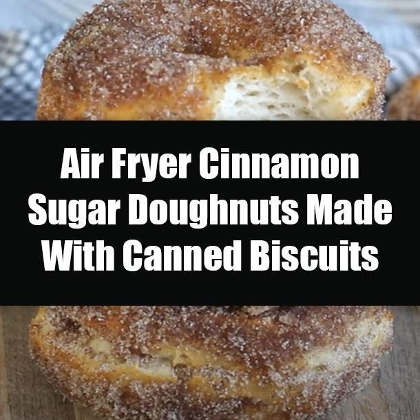 Air Fryer Cinnamon Sugar Doughnuts Made With Canned Biscuits
