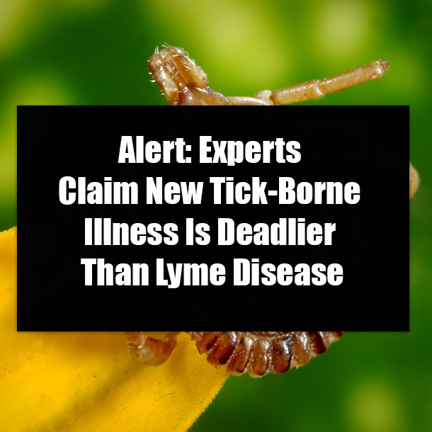 Alert: Experts Claim New Tick-Borne Illness Is Deadlier Than Lyme Disease