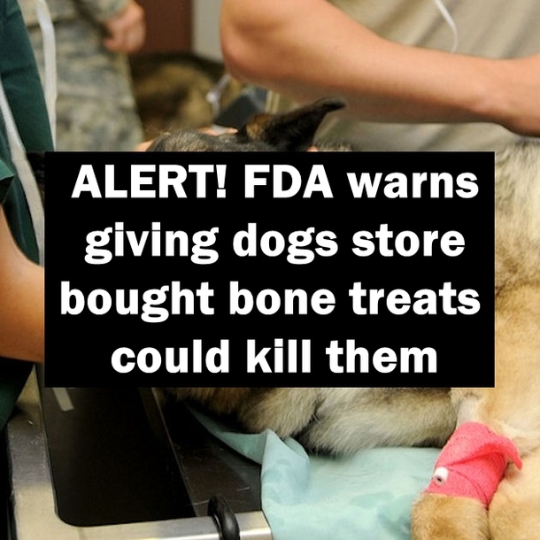 ALERT! FDA Warns Giving Dogs Store Bought Bone Treats Could Kill Them.