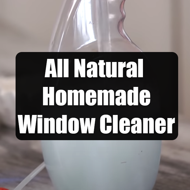 All Natural Homemade Window Cleaner