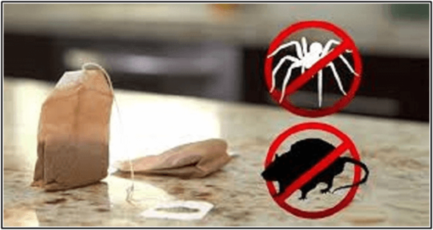All You Need Is One Tea Bag And You Will Never See Mice Or Spiders In Your House Again! - picture 2