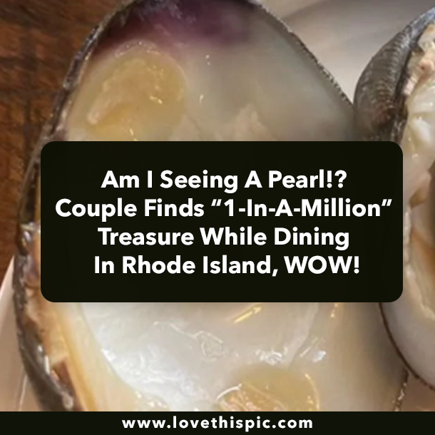 Am I Seeing A Pearl!? Couple Finds “1-In-A-Million” Treasure While Dining In Rhode Island, WOW!