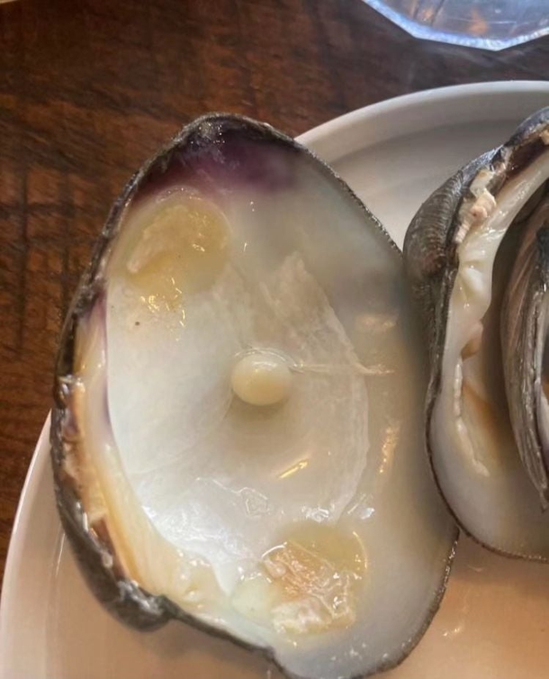 Am I Seeing A Pearl!? Couple Finds “1-In-A-Million” Treasure While Dining In Rhode Island, WOW! - picture 3