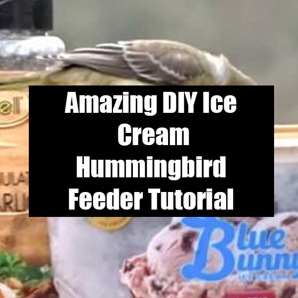Amazing DIY Ice Cream Hummingbird Feeder Tutorial