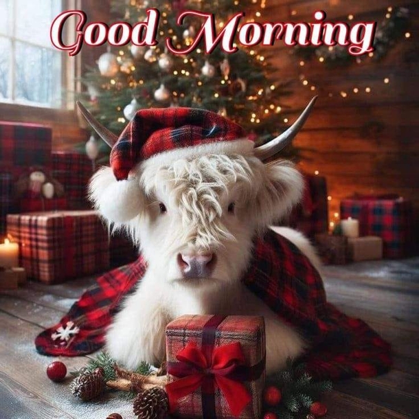Amazing Good Morning Quotes That Remind You Of Christmas - picture 3
