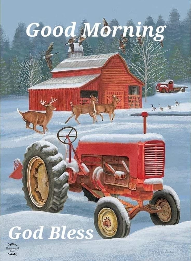 Amazing Good Morning Quotes That Remind You Of Christmas - picture 8
