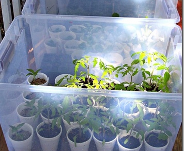 Amazing Storage Bin Makeovers For Any Home And Garden - picture 8