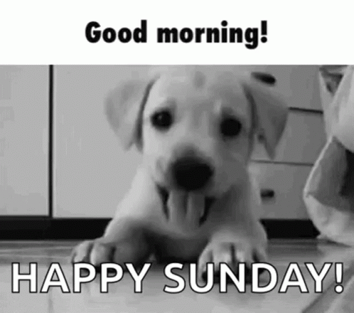 Amazing Sunday Quotes & Gifs For The Day - picture 10