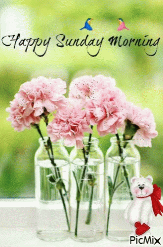 Amazing Sunday Quotes & Gifs For The Day - picture 12