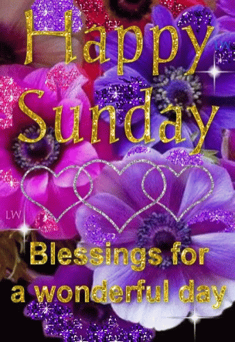 Amazing Sunday Quotes & Gifs For The Day - picture 2