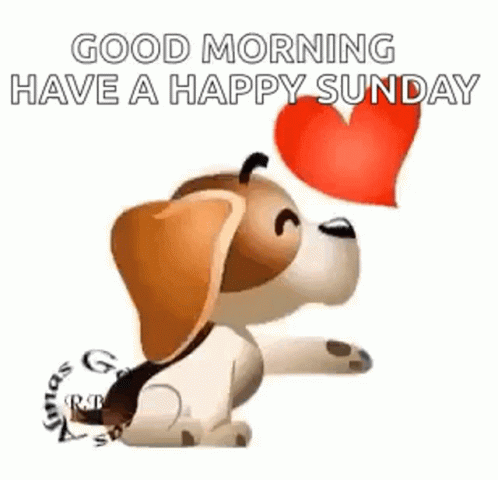 Amazing Sunday Quotes & Gifs For The Day - picture 3